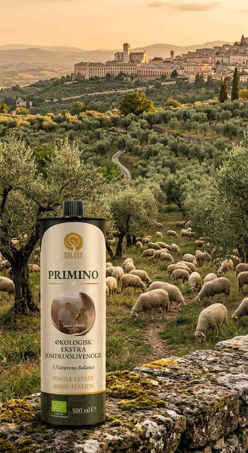 primino-extra-virgin-olive-oil-italy